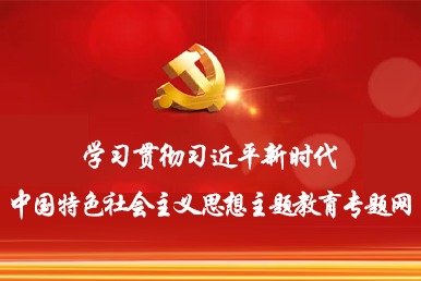 学习贯彻习近平新时代中国特色社会主义思想主题教育专题网